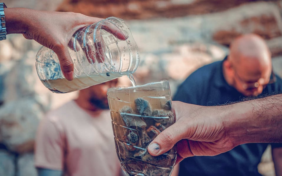 Primal Survival Course