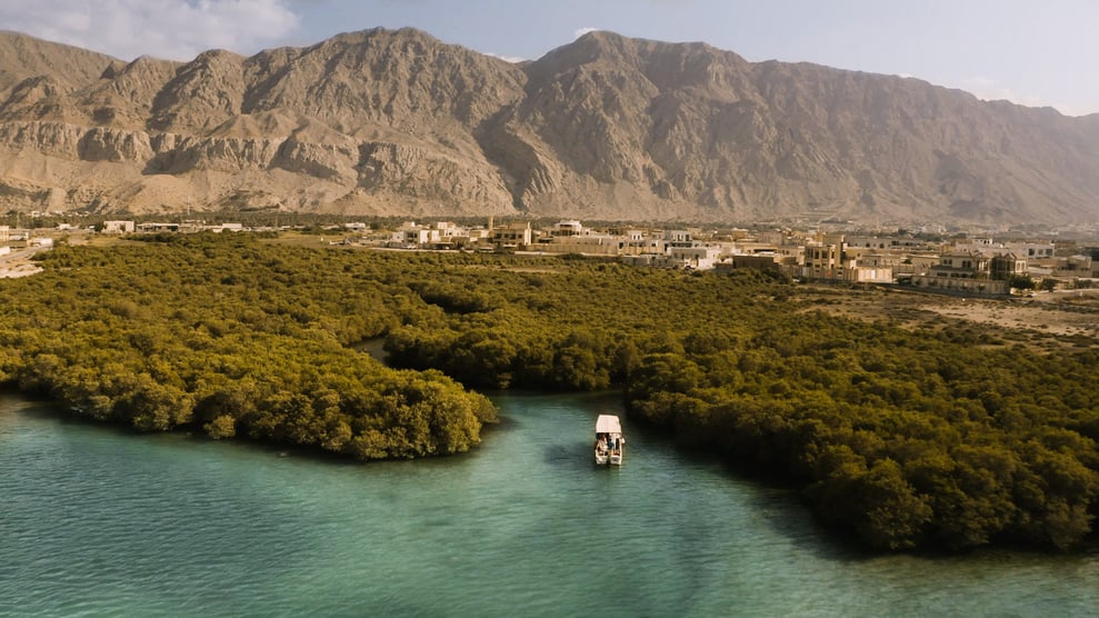 Mangroves of Ras Al Khaimah
